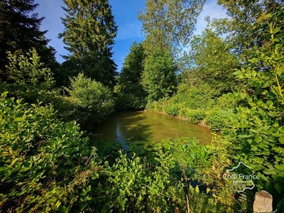 /international/fr/la-meilleraie-tillay-pays-de-la-loire-310100599738/