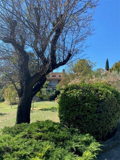/international/fr/nimes-languedoc-roussillon-310107888802/