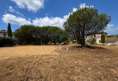/international/fr/cogolin-provence-alpes-cote-d-azur-310109650529/