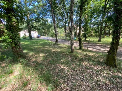 /international/fr/bouloc-midi-pyrenees-310108056547/