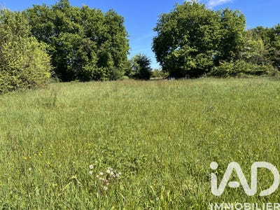 /international/fr/charroux-limousin-310107360973/