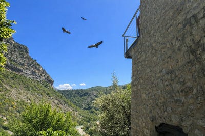 /international/fr/saint-may-rhone-310108050030/