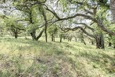 /international/fr/grimaud-provence-alpes-cote-d-azur-310103286331/