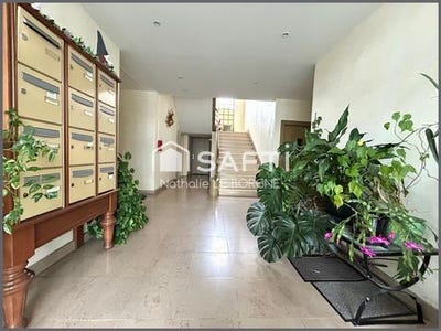 /international/fr/castres-midi-pyrenees-310105211287/