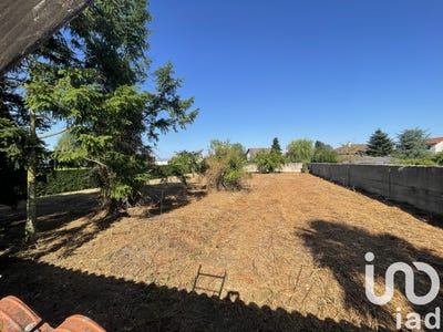 /international/fr/feurs-rhone-310099945153/