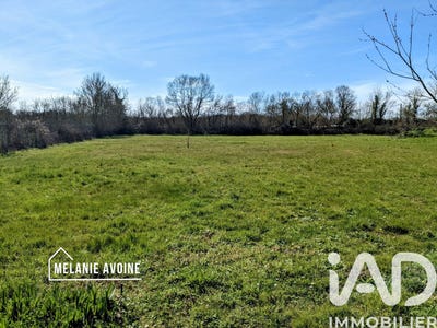 /international/fr/cire-d-aunis-charente-310105246784/