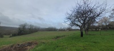 /international/fr/condezaygues-aquitaine-310106294050/