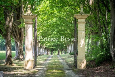 /international/fr/auch-midi-pyrenees-310108633356/?lang=fr