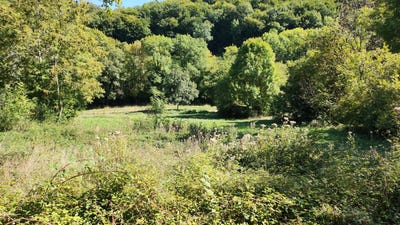 /international/fr/saint-benoit-languedoc-roussillon-310099076013/