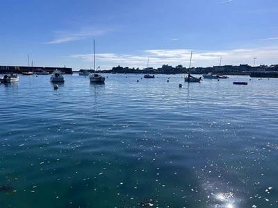 /international/fr/roscoff-brittany-310104802013/