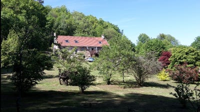 /international/fr/domps-limousin-310108865684/