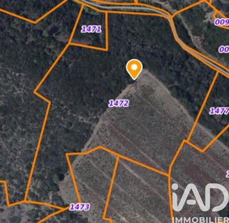 /international/fr/saint-paul-de-fenouillet-languedoc-roussillon-310108043568/