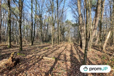 /international/fr/chatillon-sur-cher-centre-val-de-loire-310103177869/