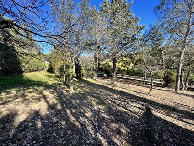 /international/fr/vidauban-provence-alpes-cote-d-azur-310098701153/
