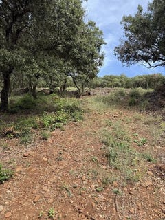 /international/fr/monoblet-languedoc-roussillon-310108315160/