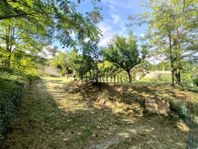/international/fr/saint-laurent-la-vernede-languedoc-roussillon-310104915547/