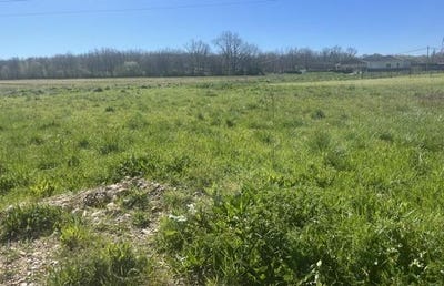 /international/fr/lacourt-saint-pierre-midi-pyrenees-310105897394/