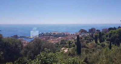 /international/fr/beausoleil-provence-alpes-cote-d-azur-310100141692/