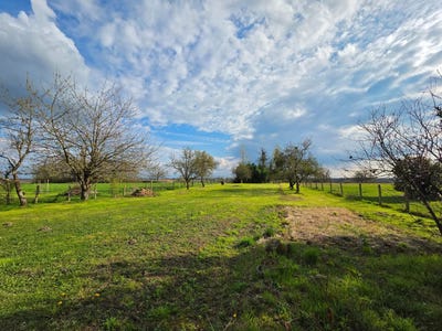 /international/fr/savigny-sur-seille-burgundy-310098892712/
