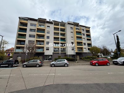 /international/fr/illkirch-graffenstaden-alsace-310107742859/