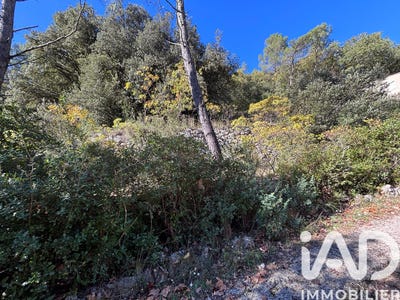 /international/fr/meounes-les-montrieux-provence-alpes-cote-d-azur-310103664864/