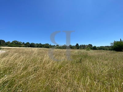 /international/fr/vaison-la-romaine-provence-alpes-cote-d-azur-310101131534/