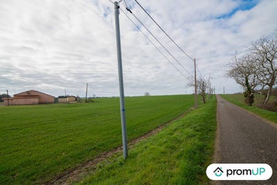/international/fr/sempesserre-midi-pyrenees-310103178028/
