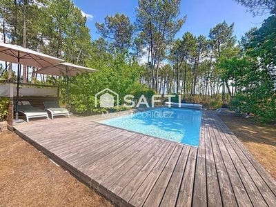 /international/fr/pissos-aquitaine-310101387849/?lang=zh-tw