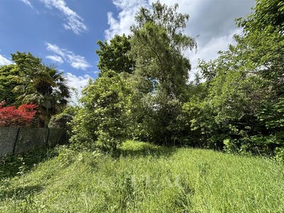 /international/fr/louveciennes-ile-de-france-310099751152/