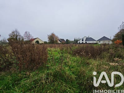 /international/fr/ruminghem-calais-310106709469/