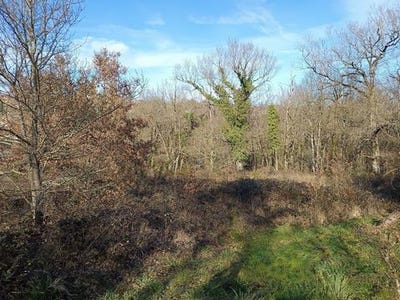 /international/fr/mirandol-bourgnounac-midi-pyrenees-310107011725/