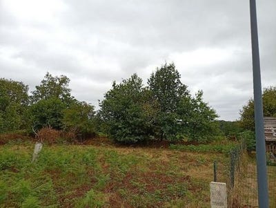 /international/fr/maxent-brittany-310101389206/?lang=zh-tw