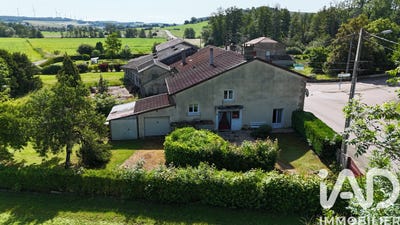 /international/fr/bainville-aux-saules-lorraine-310108725576/