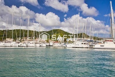 /international/fr/le-marin-rhone-310107447358/