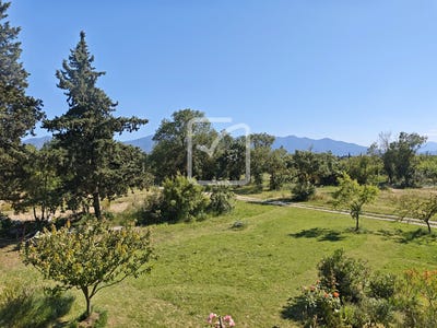 /international/fr/ortaffa-languedoc-roussillon-310108430060/?lang=it