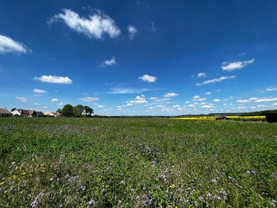 /international/fr/septeuil-ile-de-france-310103429551/