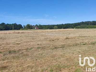 /international/fr/chanteau-centre-val-de-loire-310097001787/