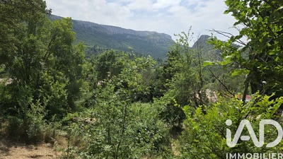 /international/fr/plan-d-aups-sainte-baume-provence-alpes-cote-d-azur-310108516734/