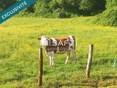 /international/fr/montcey-franche-comte-310108312824/