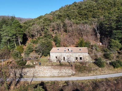 /international/fr/saint-roman-de-codieres-languedoc-roussillon-310108790912/