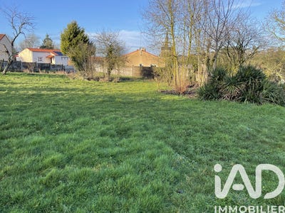 /international/fr/lys-haut-layon-pays-de-la-loire-310107737508/