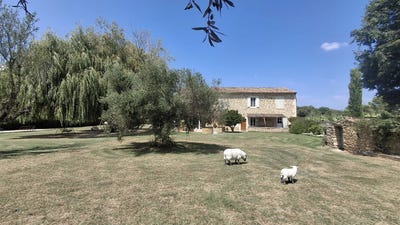 /international/fr/suze-la-rousse-rhone-310109949954/