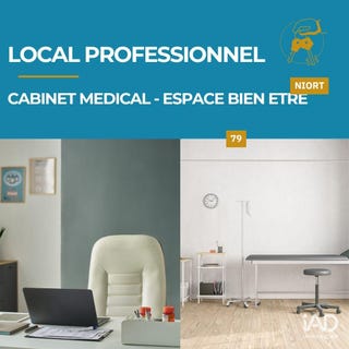 /international/fr/niort-charente-310105186621/