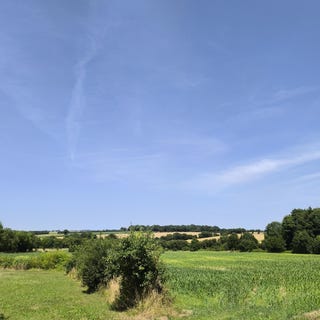 /international/fr/l-oie-pays-de-la-loire-310100823296/