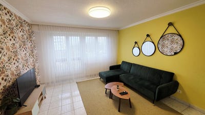 /international/fr/hoenheim-alsace-310120049754/