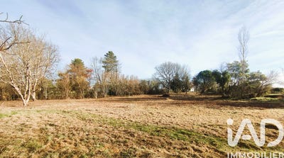 /international/fr/montdurausse-midi-pyrenees-310106396687/