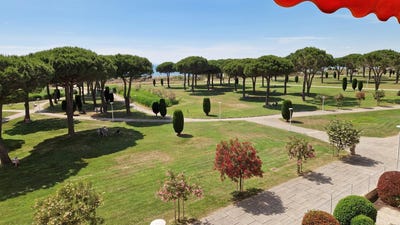 /international/fr/le-grau-du-roi-languedoc-roussillon-310108995551/