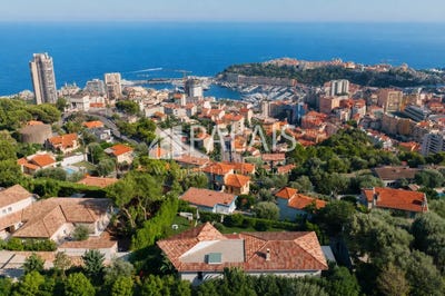 /international/fr/beausoleil-provence-alpes-cote-d-azur-310120022891/