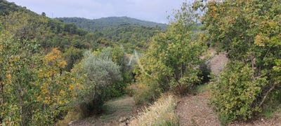 /international/fr/corbieres-en-provence-provence-alpes-cote-d-azur-310108213096/