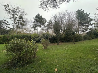 /international/fr/noisy-le-grand-ile-de-france-310107647781/